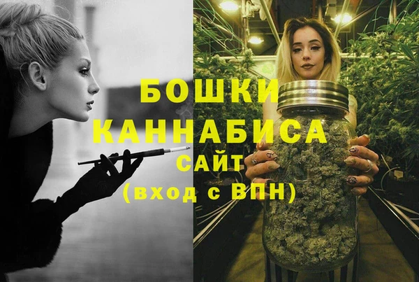 2c-b Богородицк