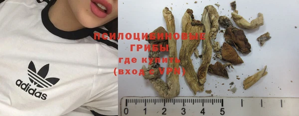 2c-b Богородицк