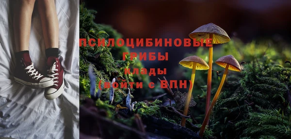 jwh Богородск
