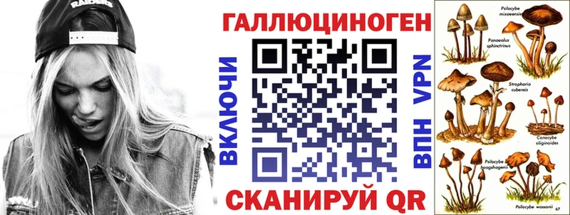 Галлюциногенные грибы Cubensis  Саратов 